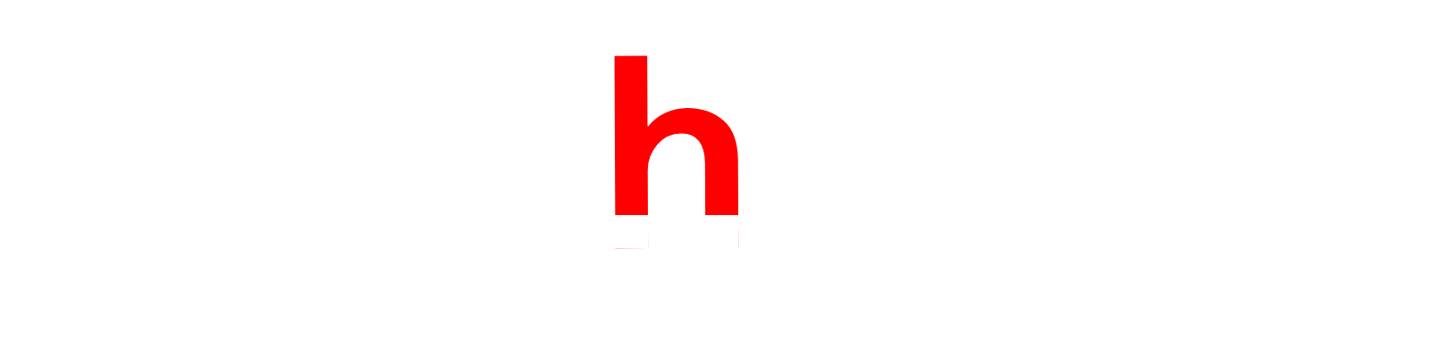 dashmag logo